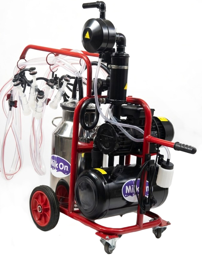 0-02-05-36782115852d7db3f3c4e1a2880f5648ed75b5c76597cd7645b20890097b4822_44e2fb42fb0d88d1 (1)