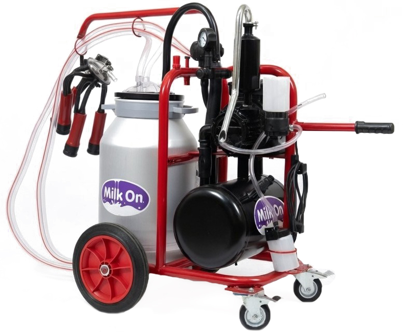 0-02-05-9e15c306fb658ed6b37c91372ee44d9017d29f142e199fc0402252413921b81c_b7c3a6f04853ea76