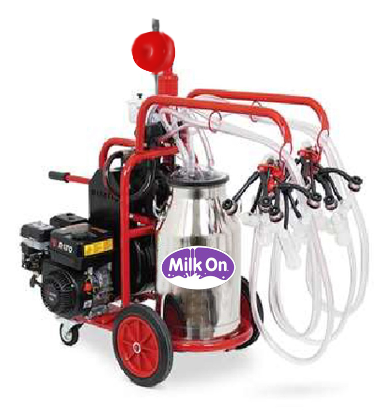 φωτο-αντίγραφο αντίγραφο