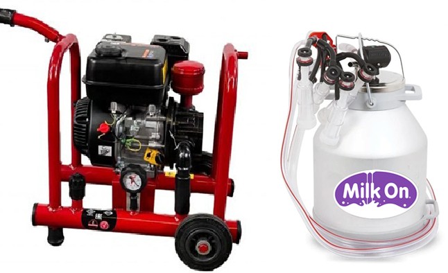 3-αντίγραφο