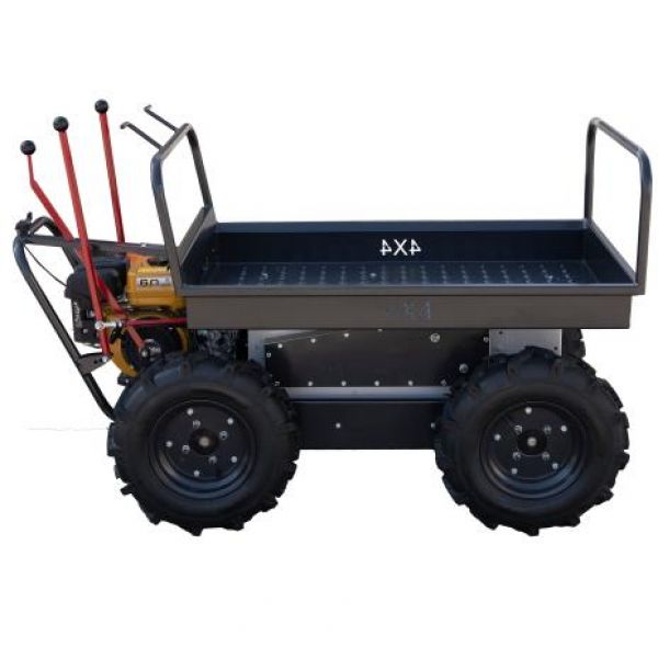 01.21.57_metaphoriko-robin-_4x4_01_w464h464f