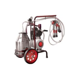 ΑΜΕΛΚΤΙΚΗ ΚΙΝΗΤΗ 1 ΑΓΕΛΑΔΟΣ 0,75ΗΡ – ΜΕ ΑΤΟΚΕΣ ΔΟΣΕΙΣ