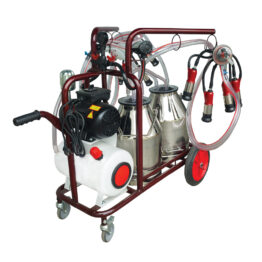 ΑΜΕΛΚΤΙΚΗ ΚΙΝΗΤΗ 2 ΑΓΕΛΑΔΩΝ 1ΗΡ – ΜΕ ΑΤΟΚΕΣ ΔΟΣΕΙΣ