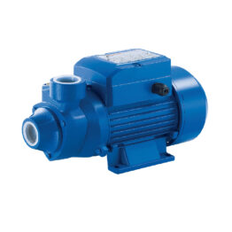 ΗΛΕΚΤΡΑΝΤΛΙΑ 0,75 HP PLUS PM 10 220 V ΜΕ ΜΑΝΟΜΕΤΡΙΚΟ 65 Μ